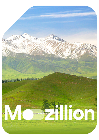 1767869182_Mozillion Travel SIM - Kyrgyzstan.png